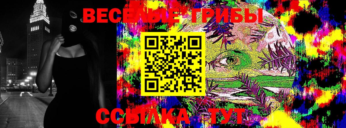 Ульяновск  даркнет сайт  Вход с VPN  Псилоцибиновые грибы Psilocybe 